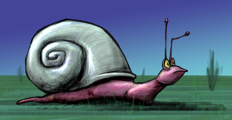 Snail | Digital illustration