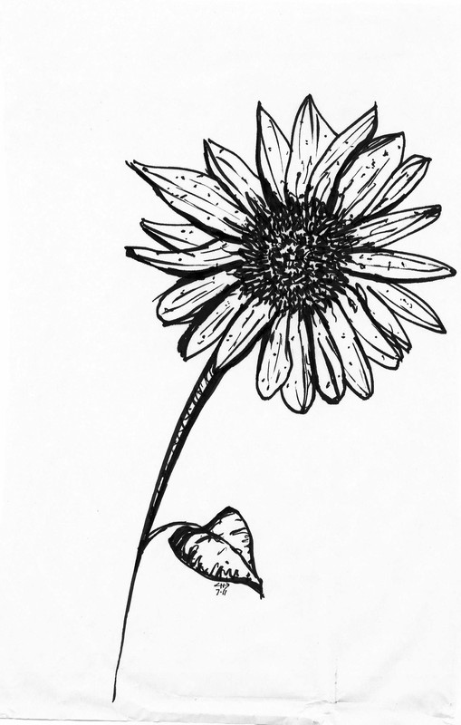 Flower | Pen on paper, 13x18cm