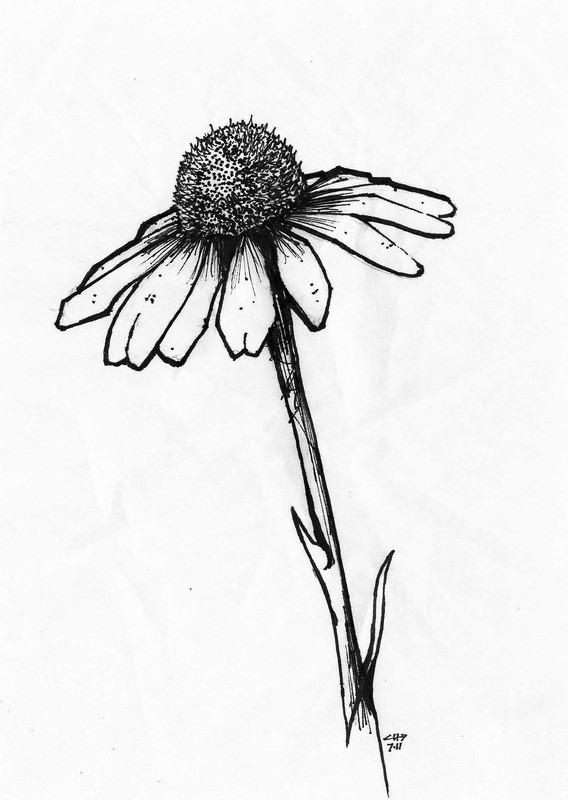 Flower | Pen on paper, 13x18cm