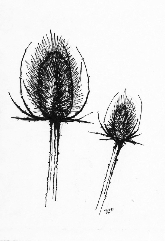 Flower | Pen on paper