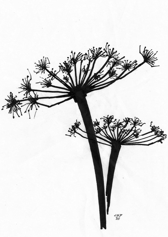 Flower | Pen on paper, 13x18cm