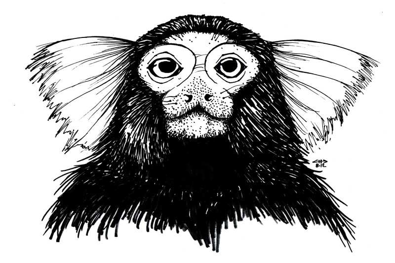 monkey | 29x21cm, pen on paper