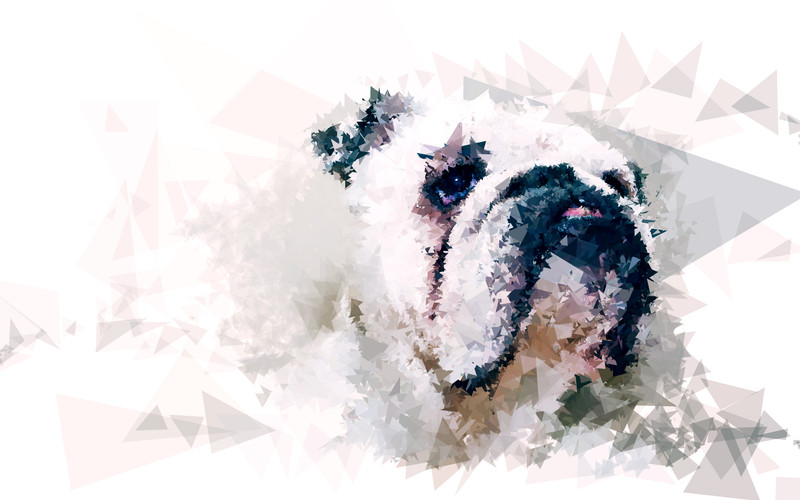 Lola | Digitally created image using Processing.
