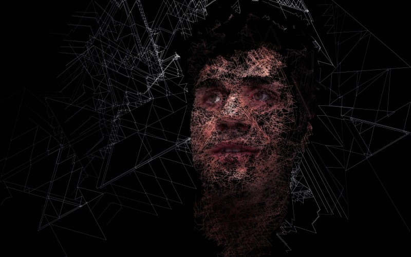 Andrew | Digitally created images based on photograph using custom made brushes in Processing.