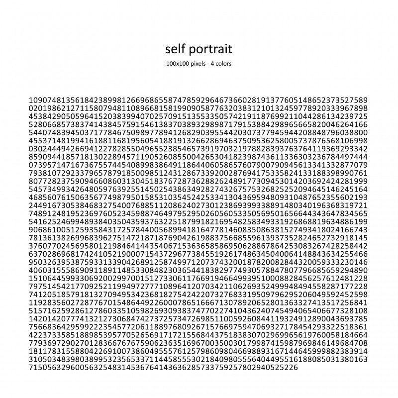 Self Portrait | A single number that represents the sequential iteration of color variations, that make up a portrait in the given digital canvas. | USA | New York
