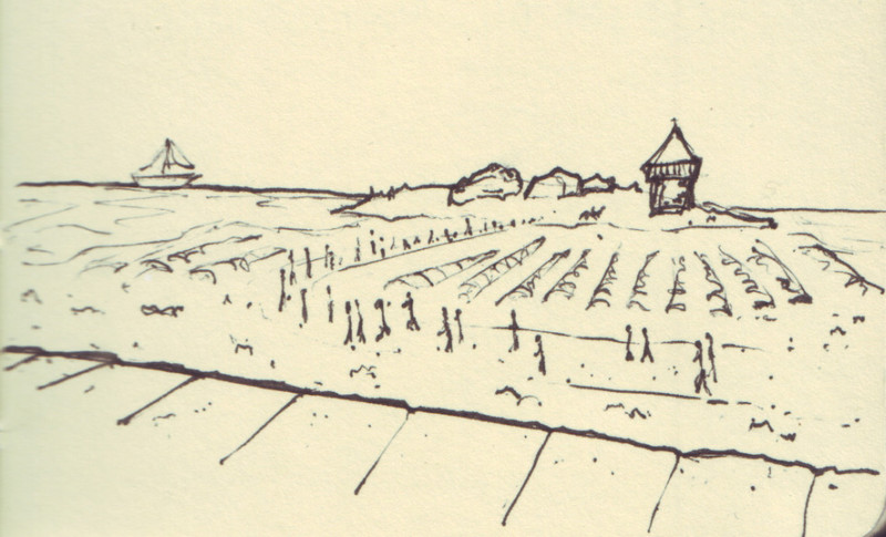 Saint Vaast la Hougue | Pen on sketchbook. Travel journal, during cycling trip accross Europe