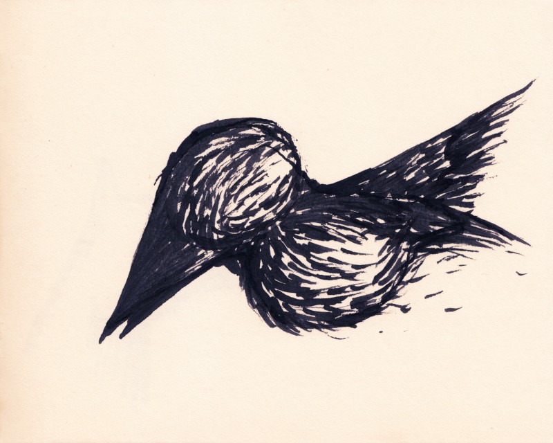 s03_p018 | 16x13cm, ink on sketchbook