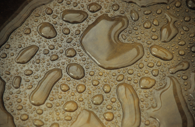 Henry Moore | At the Sculpture park