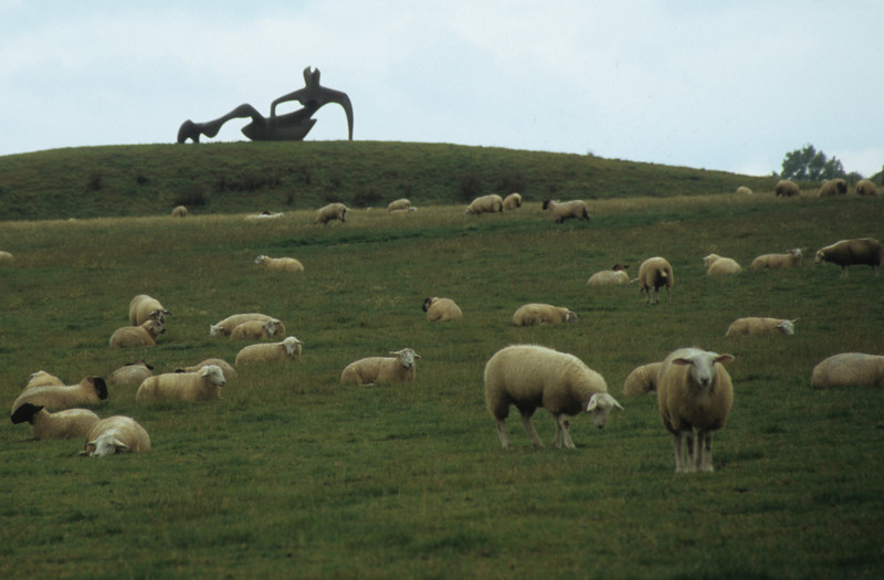 Henry Moore | At the Sculpture park