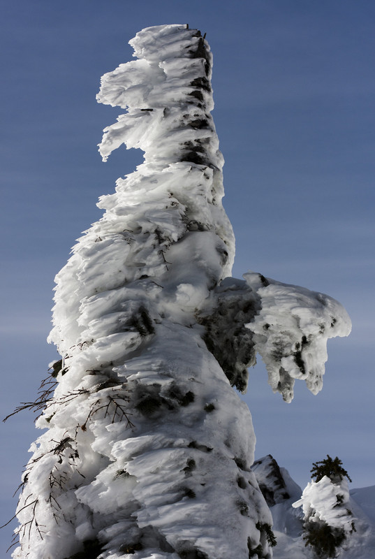 Ice sculpture | Snowshoeing at Cypress mountain