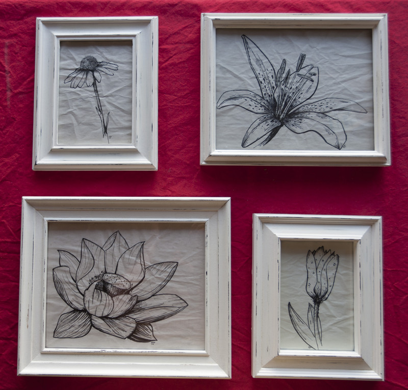 4 Flowers | Pen on paper. 13x18cm & 20x29cm framed