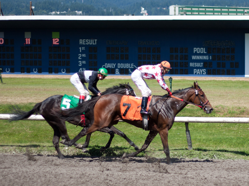 Horse Track | At Hastings