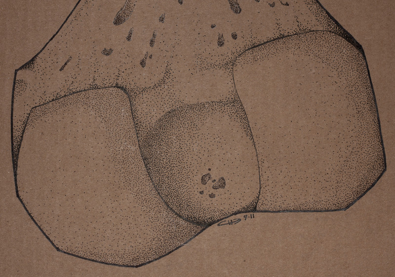 Right Femur | 124x47cm markers on containerboard. Detail