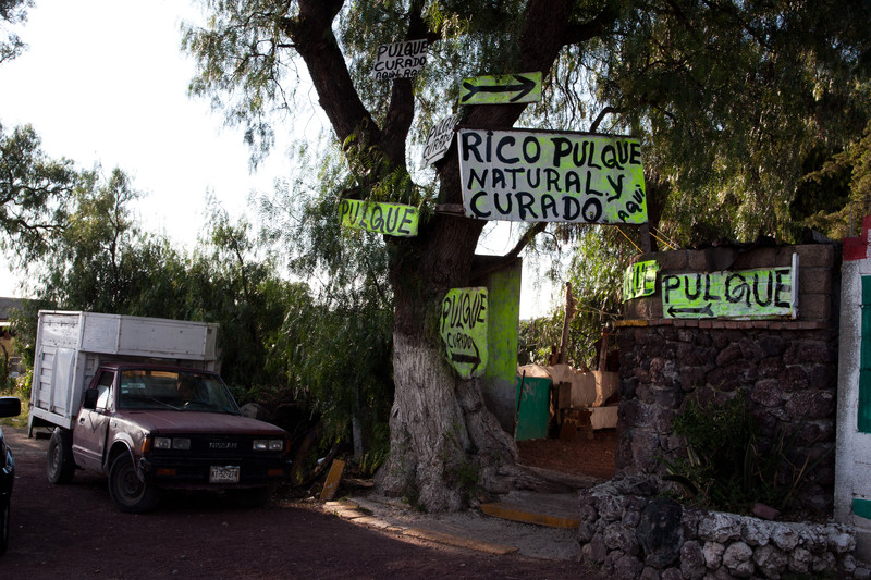 Pulque bar