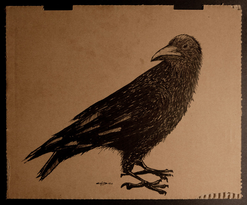 crow | 32x26cm, markers on cardboard