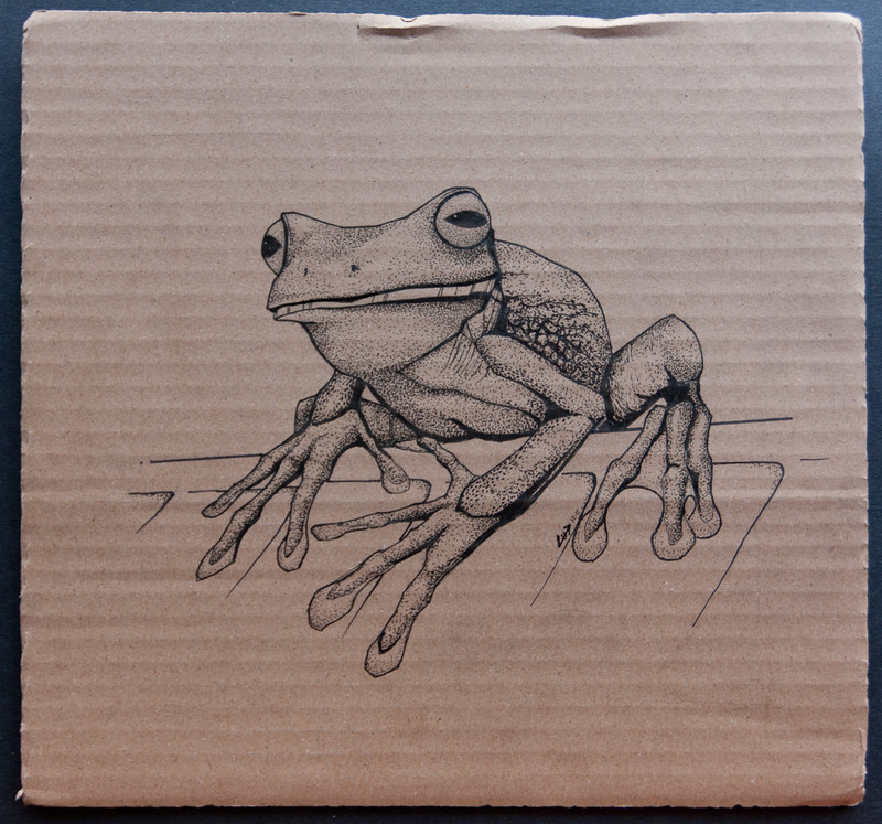 Frog | 27x28cm, markers on cardboard