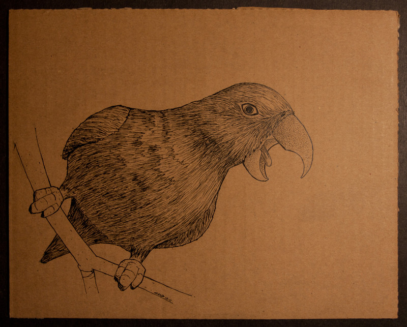 Screaming Bird | 25x19cm, ink on cardboard