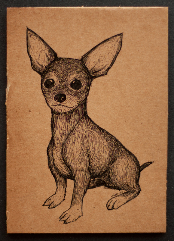 Chihuahua | 13x18cm, ink on cardboard