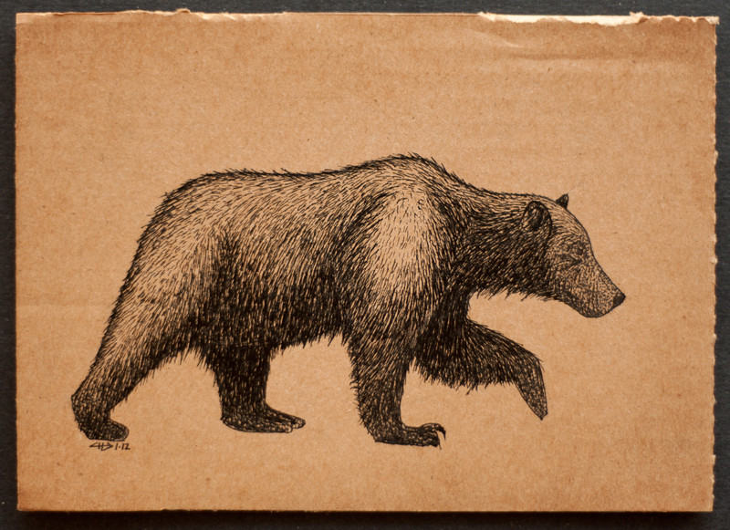 Grizzly bear | 18x13cm, ink on cardboard