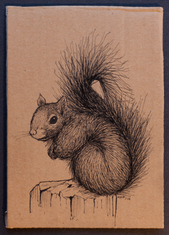 Squirrel | 13x18cm, ink on cardboard