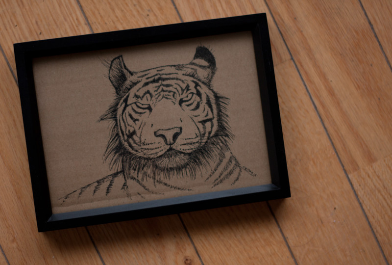 Tiger | 18x13cm, ink on cardboard, framed