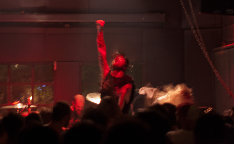 Cancer bats | at Six Dogs