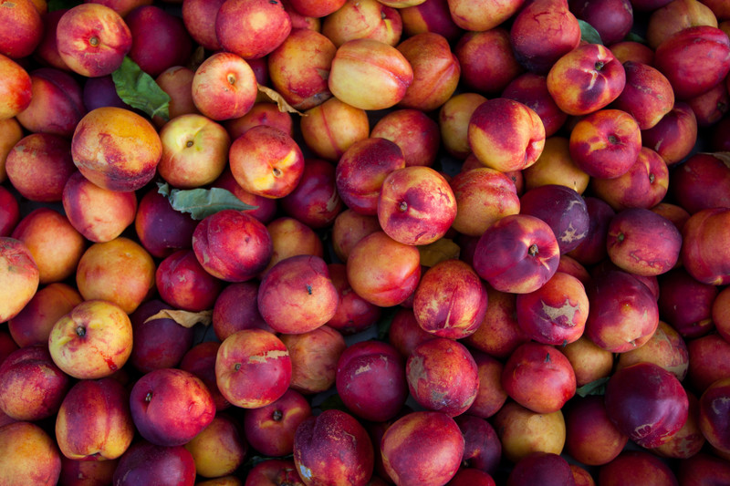 Nectarines |  