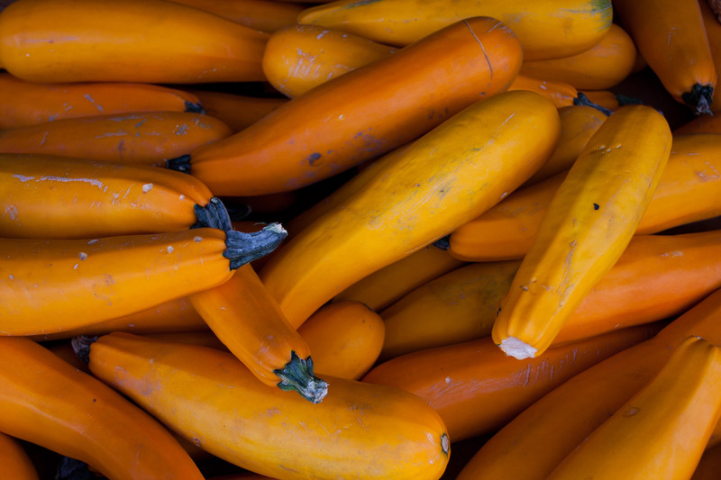 Zucchini |  