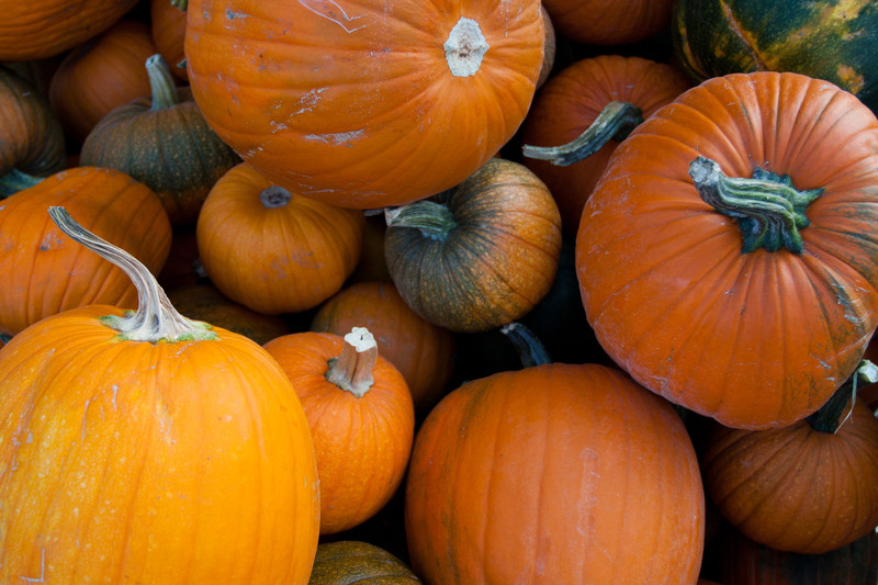 Pumkins |  