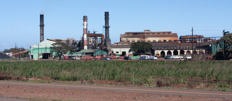 Sugar Cane Factory