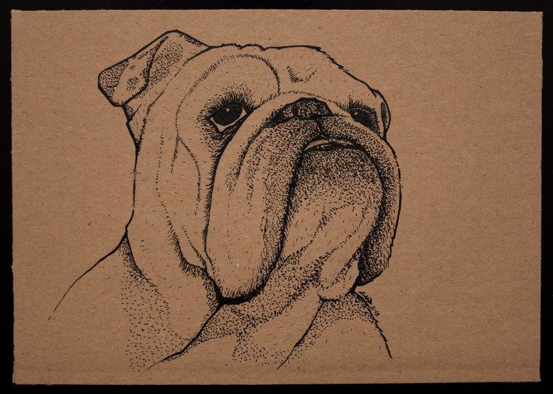 Lola | 18x13cm, ink on cardboard