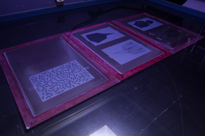 photo 140929_5656 | Exposing the frames