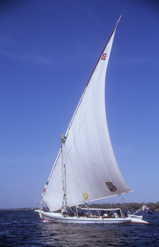 Felucca | 3 days cruise in the Nile