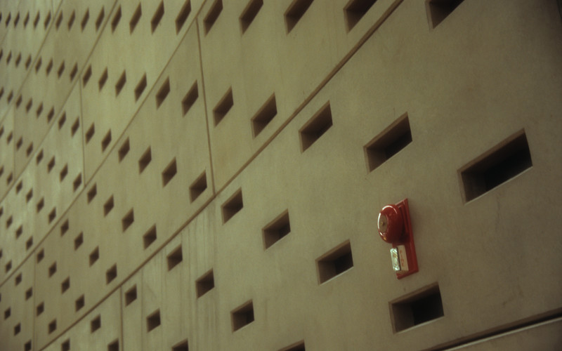 Firebell | At the Library of Alexandria