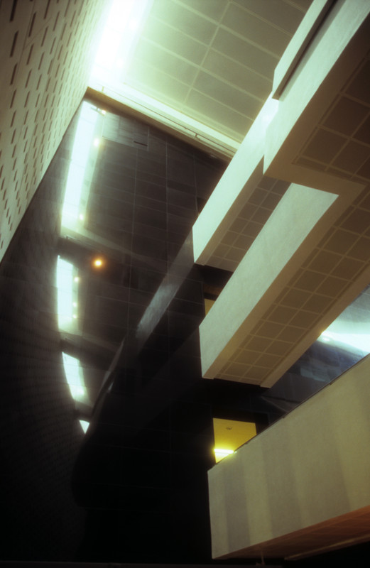 Library | of Alexandria