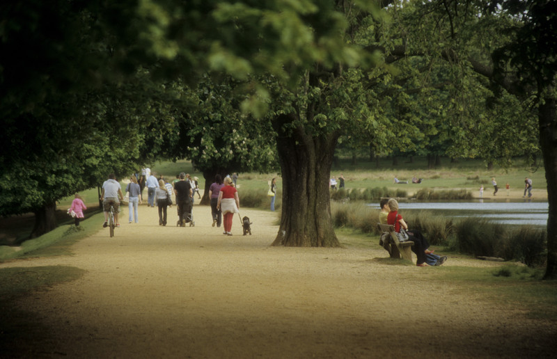 Richmond park