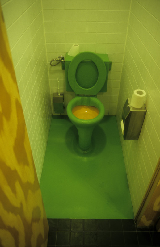 Vegetarian toilet | At Dick Bruna House