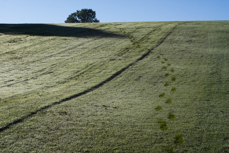 photo 161007_8836 | Pittsburgh