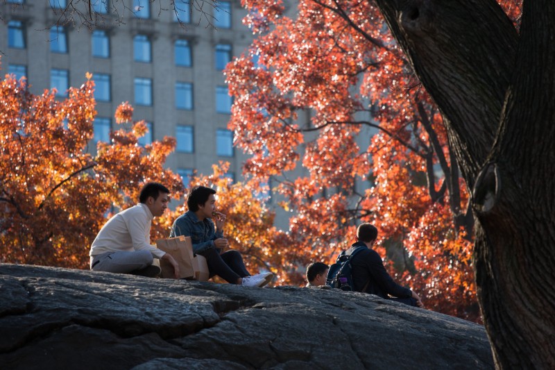 photo 161119_9137 | Central Park