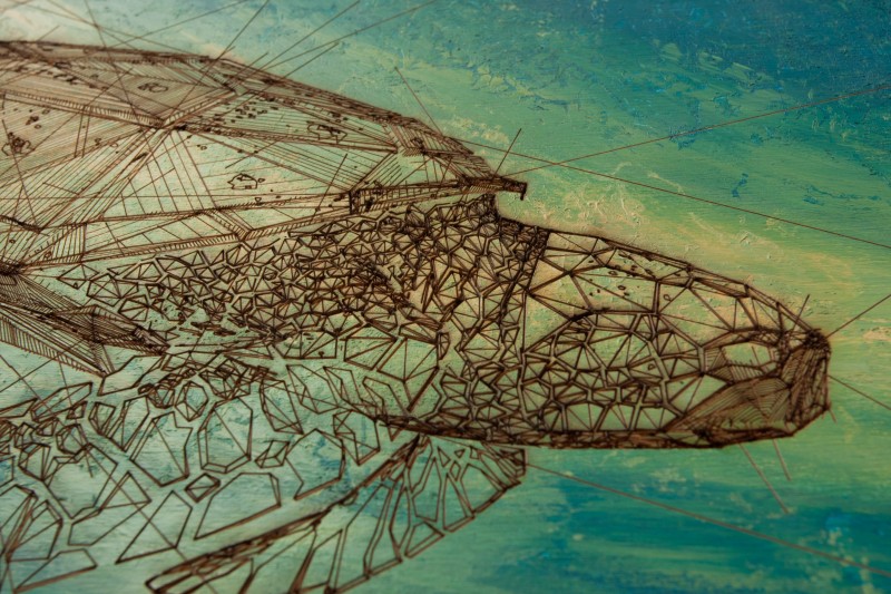 Turtle detail | 40x30cm laser cut, wooden panel, acrylics