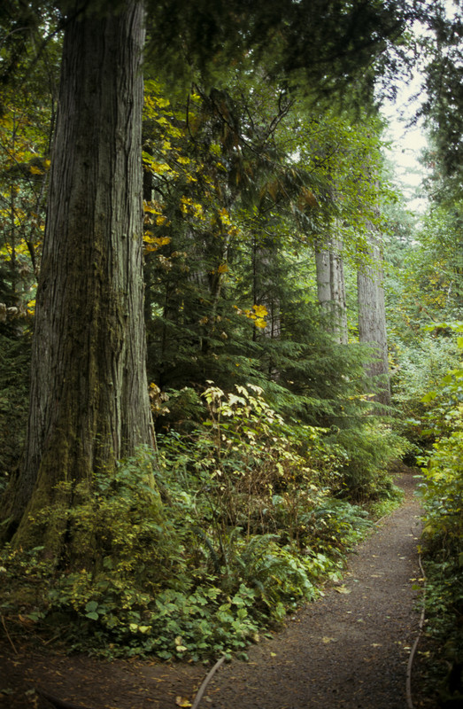 On the way to Tofino