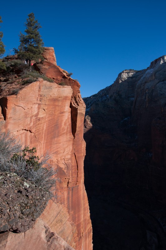 Zion - Angel's Landing