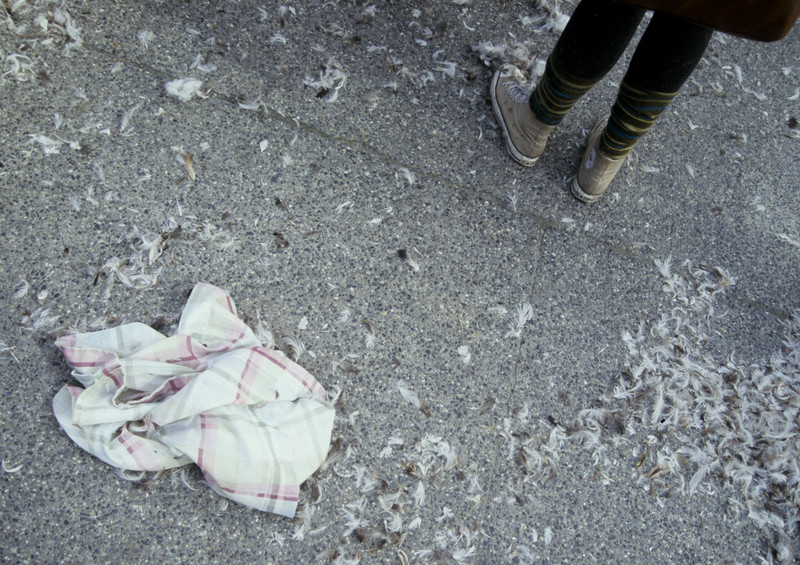 Pillowfight | 2011 Vancouver