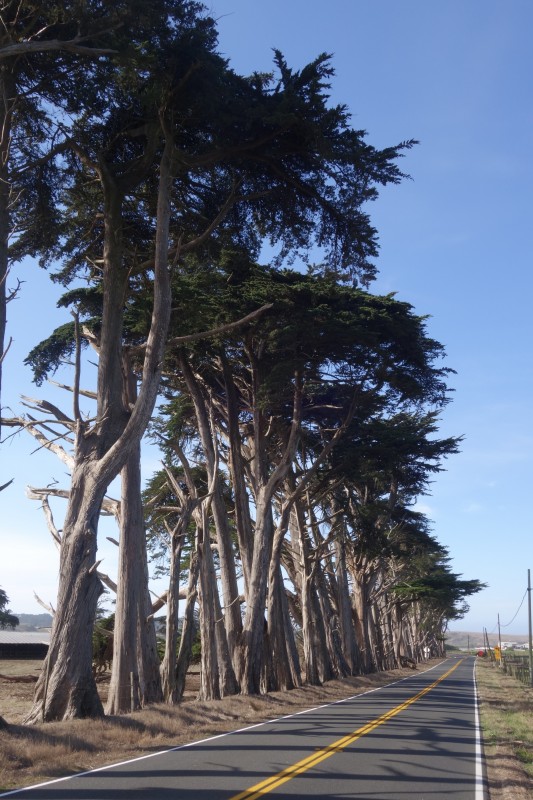 Manchester State Park