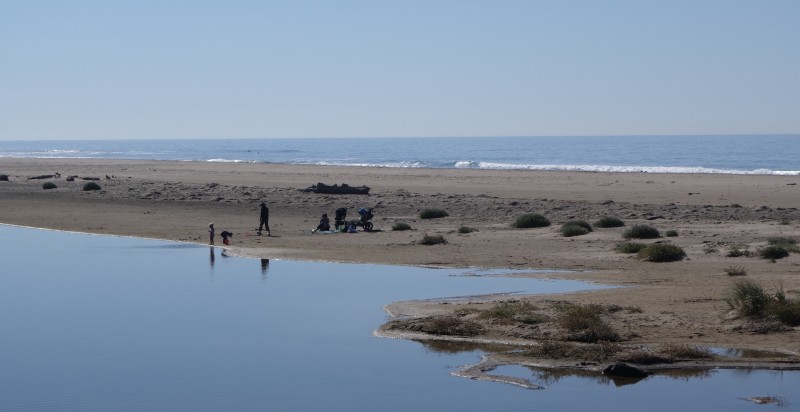 Ano Nuevo Bay